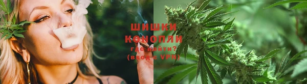 apvp Каменногорск