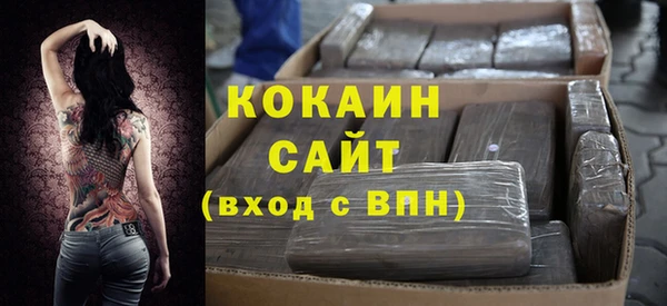 гашик Касимов